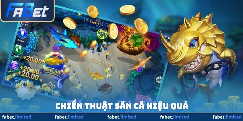 Chiến thuật săn cá hiệu quả