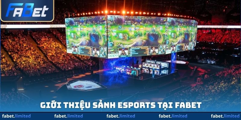 Giới thiệu sảnh Esports tại FABET